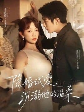 隐婚试爱,沉溺他的温柔
