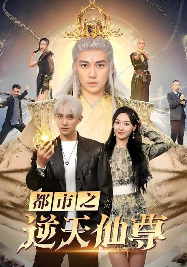 都市之逆天仙尊
