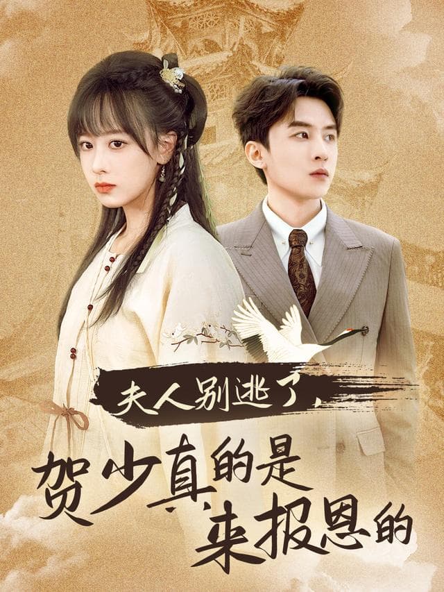 夫人别逃了,贺少真的是来报恩的