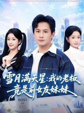 雪月满天星:我的老板竟是前女友妹妹