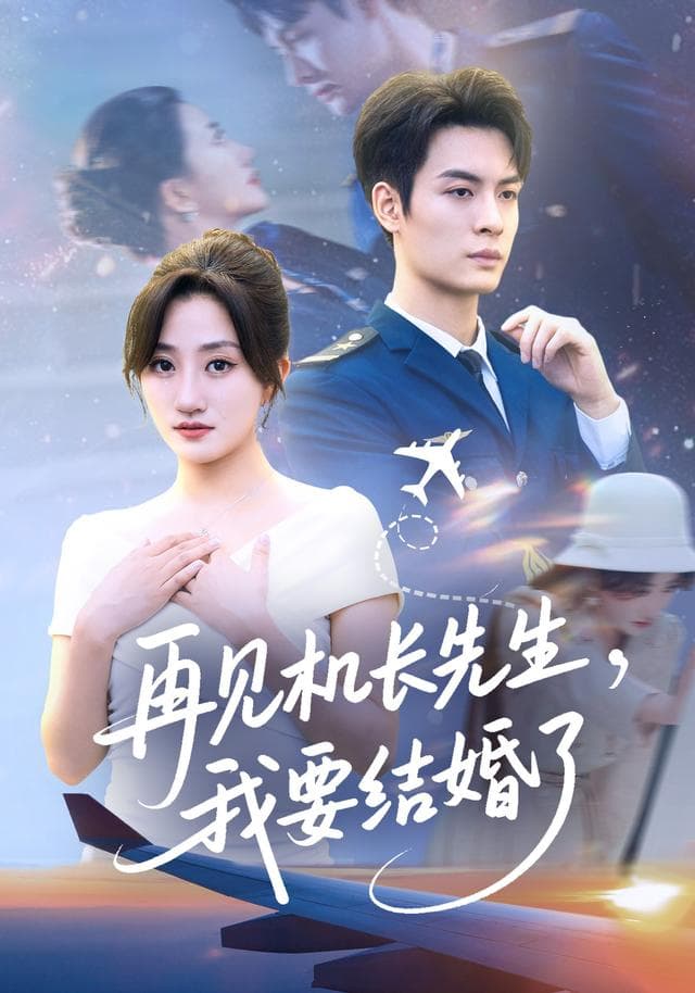 再见机长先生,我要结婚了