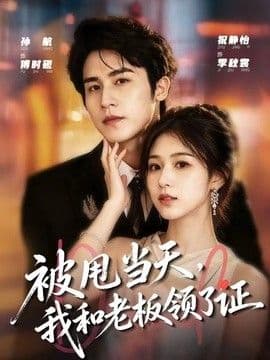 被甩当天,我和老板领了证