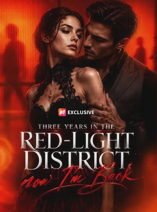 Three Years in the Red-Light District, now I’m Back