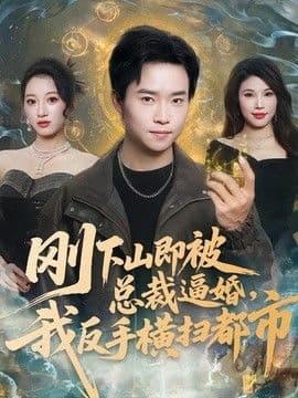 刚下山即被总裁逼婚,我反手横扫都市
