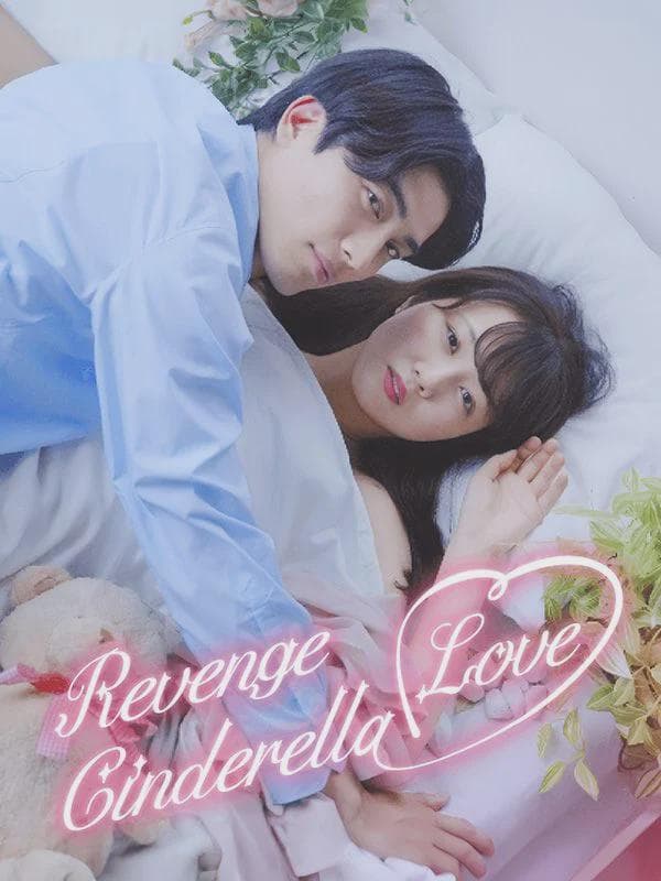 Revenge Cinderella Love