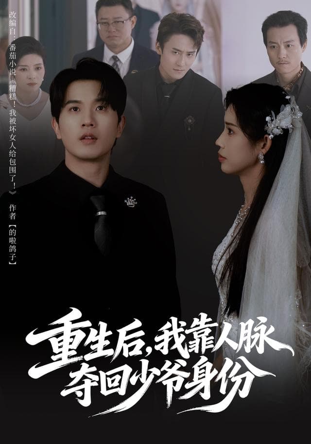 重生后,我靠人脉夺回少爷身份