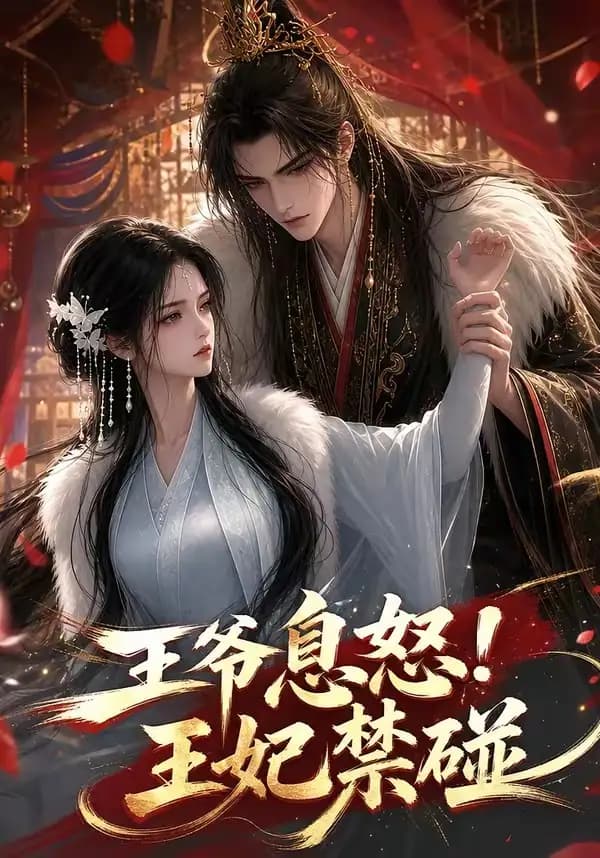 王爷息怒!王妃禁碰