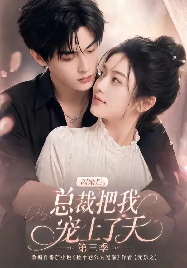 闪婚后,总裁把我宠上了天第三季