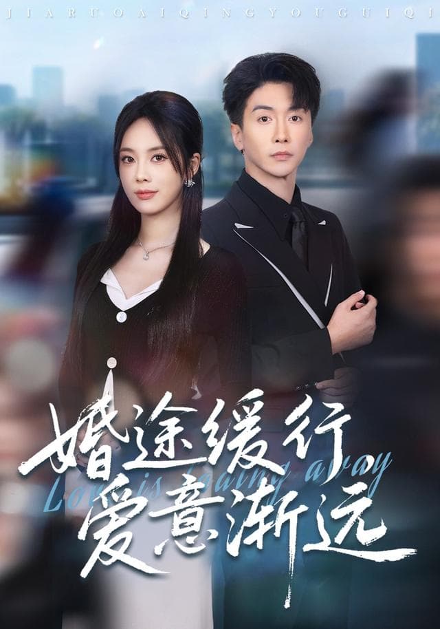 婚途缓行,爱意渐远