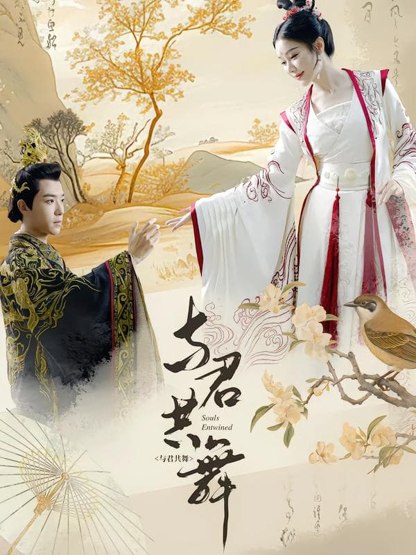 与君共舞