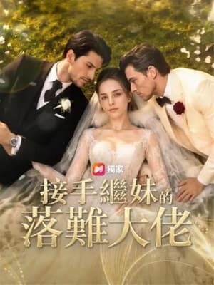 接手繼妹的落難大佬