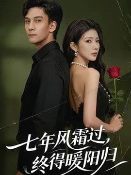 七年风霜过,终得暖阳归