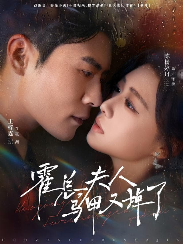 霍总,夫人马甲又掉了