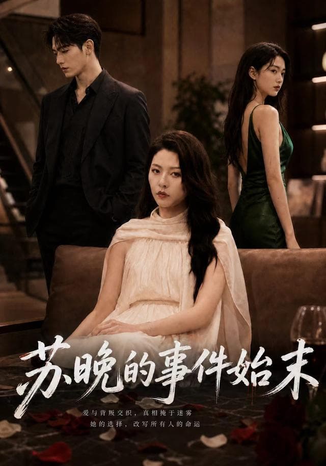 苏晚的事件始末