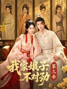 我家娘子，不对劲第三季