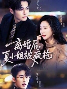 离婚后,夏小姐被疯抢