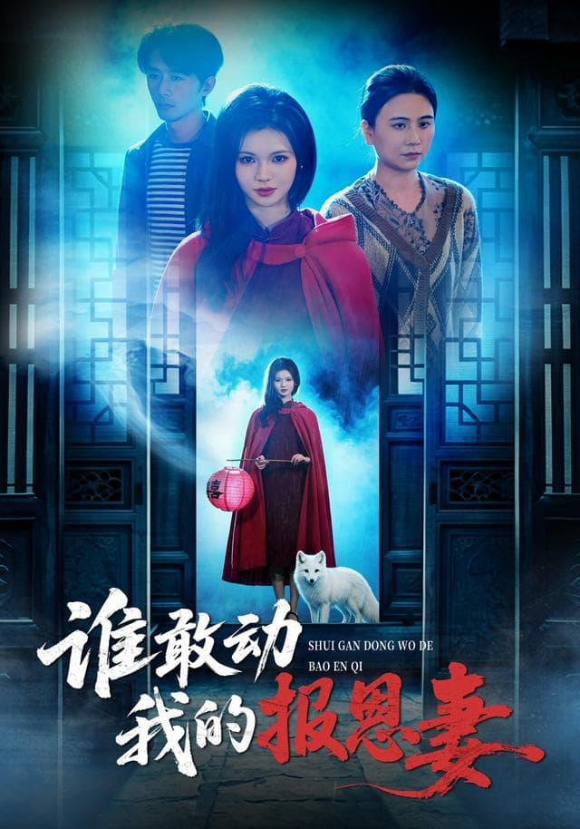 谁敢动我的报恩妻
