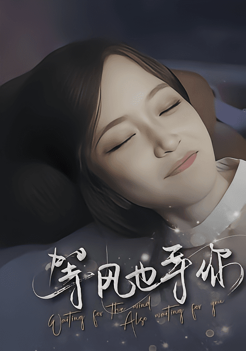 等风也等你