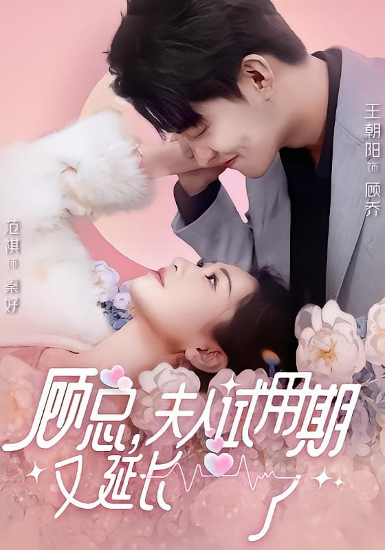 顾总,夫人试用期又延长了