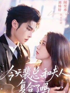 今天裴总和夫人复合了吗