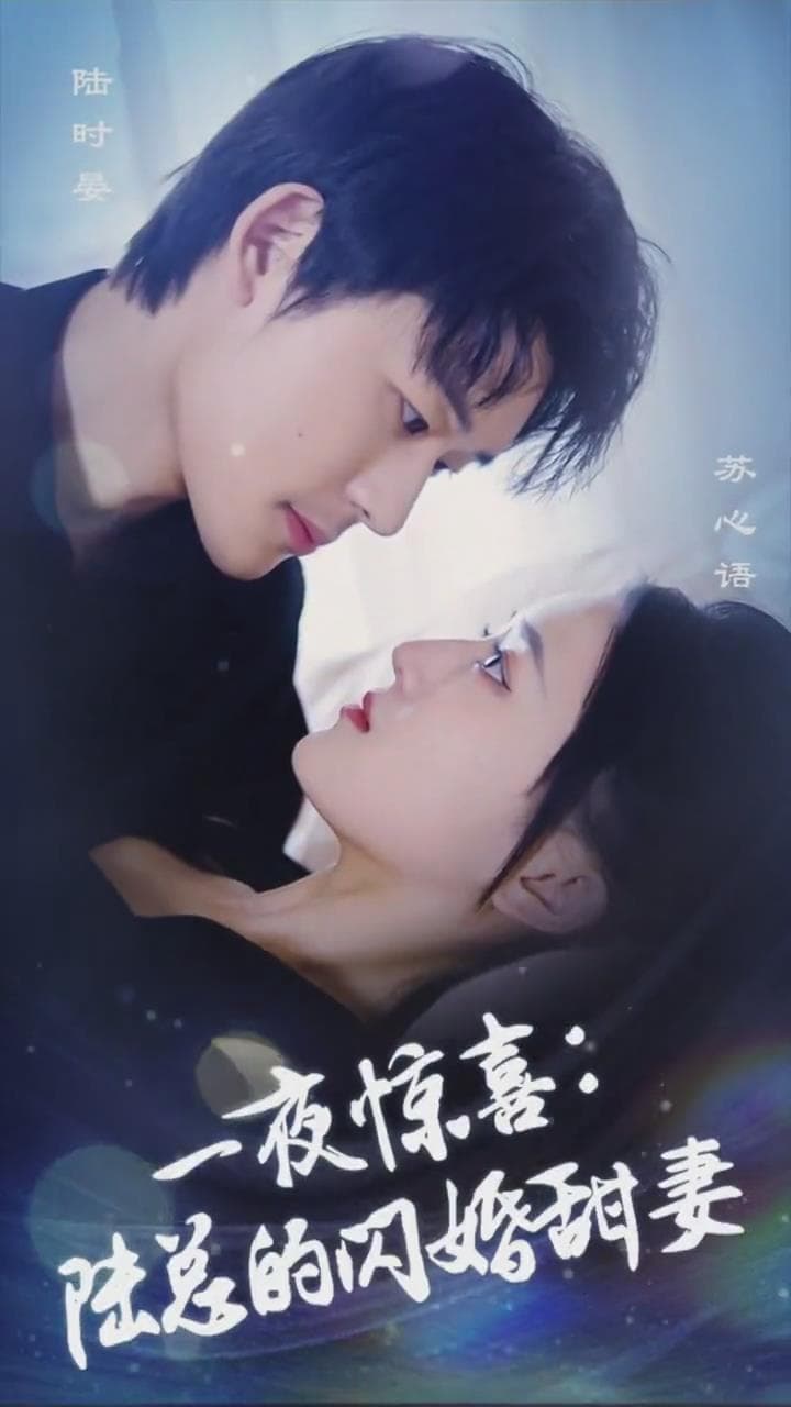 一夜惊喜:陆总的闪婚甜妻