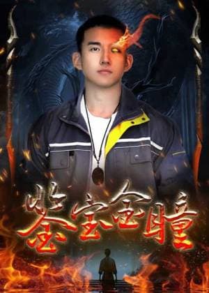 鉴宝金瞳