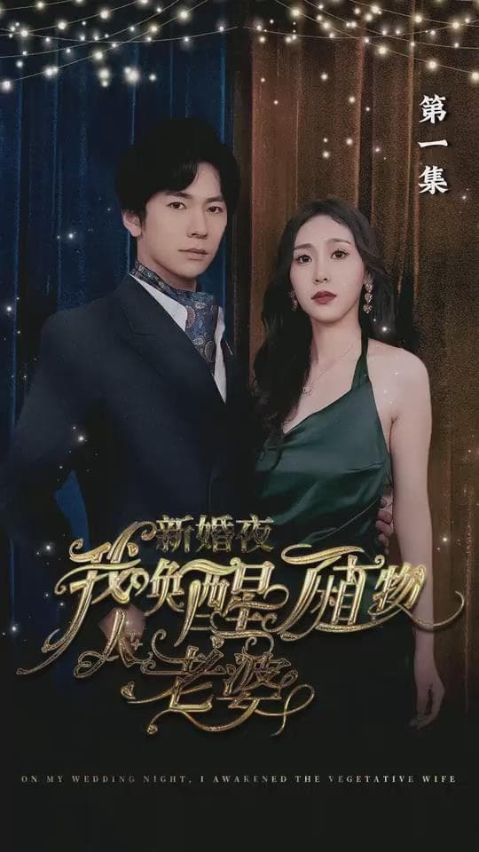 新婚夜,我唤醒了植物人老婆