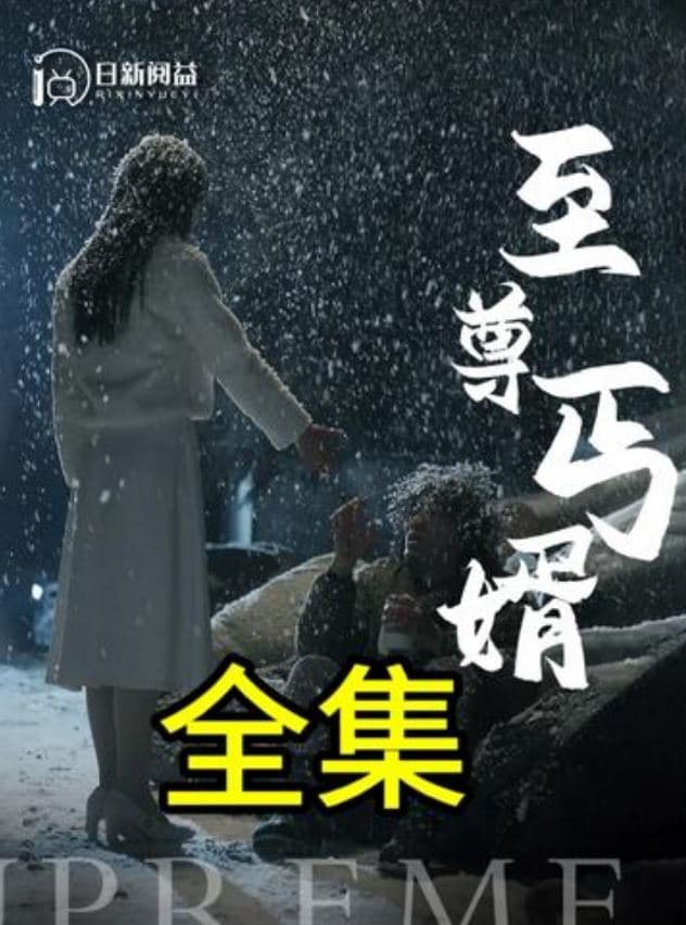 至尊丐婿