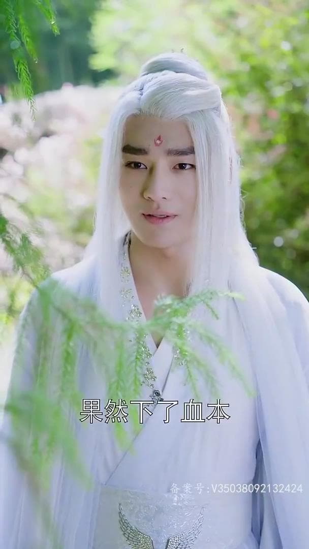 狂草(第一季)