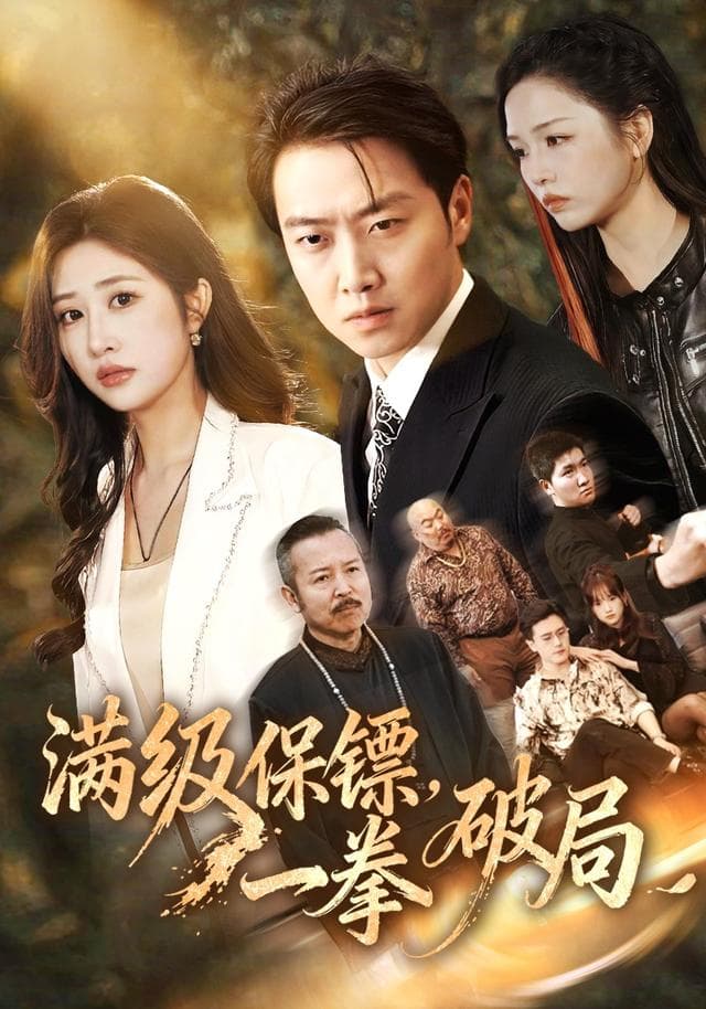 满级保镖,一拳破局